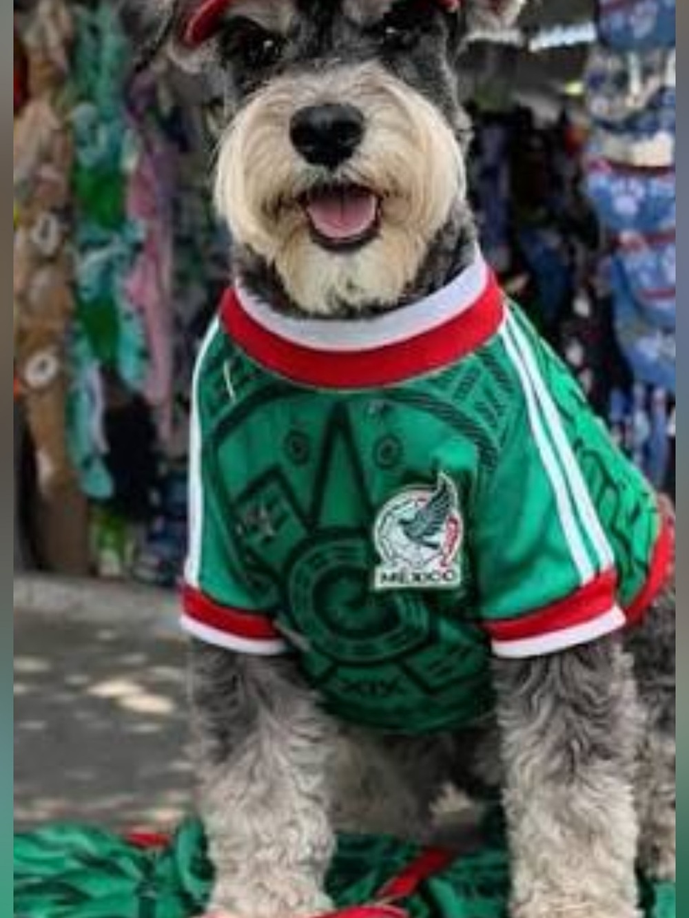 NWT adidas dog/ pet Mexico Green Soccer Official Jersey